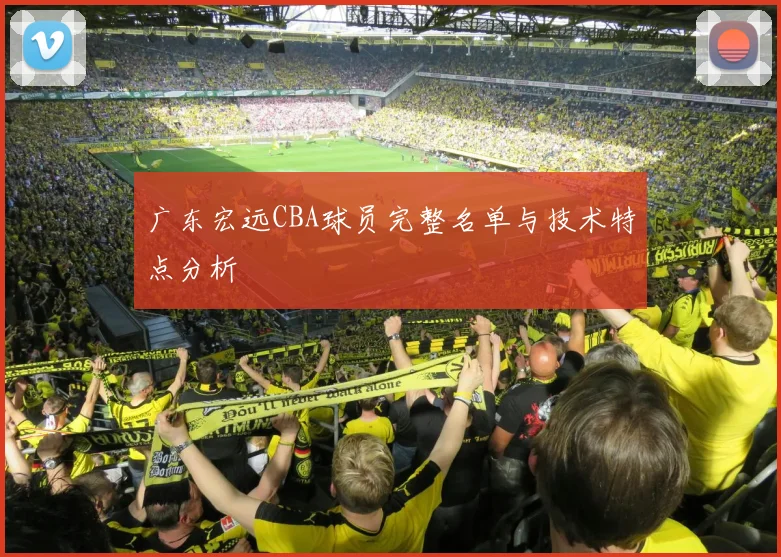 广东宏远CBA球员完整名单与技术特点分析