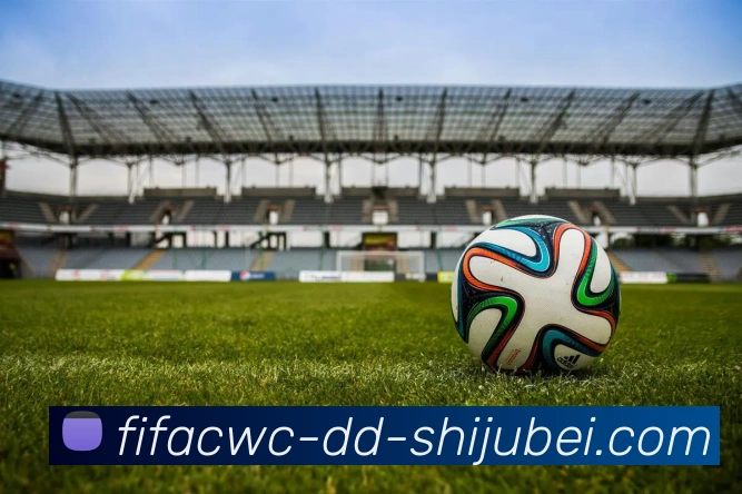 世界杯直播APP 封面图